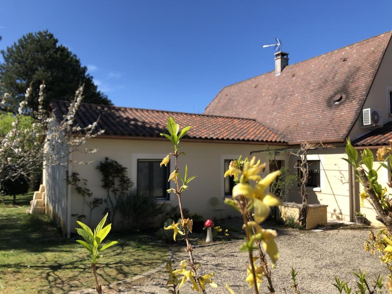 Chambre D'Hotes L'Olivianne Sarlat-la-Caneda Εξωτερικό φωτογραφία